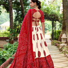 Doli - Tussar Silk Bandhej Print Red Lehenga Choli Set - JMS Studio