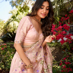 Doli - Sequins and Thread Embroidery All Over Butties Light Pink Lehenga Choli - JMS Studio