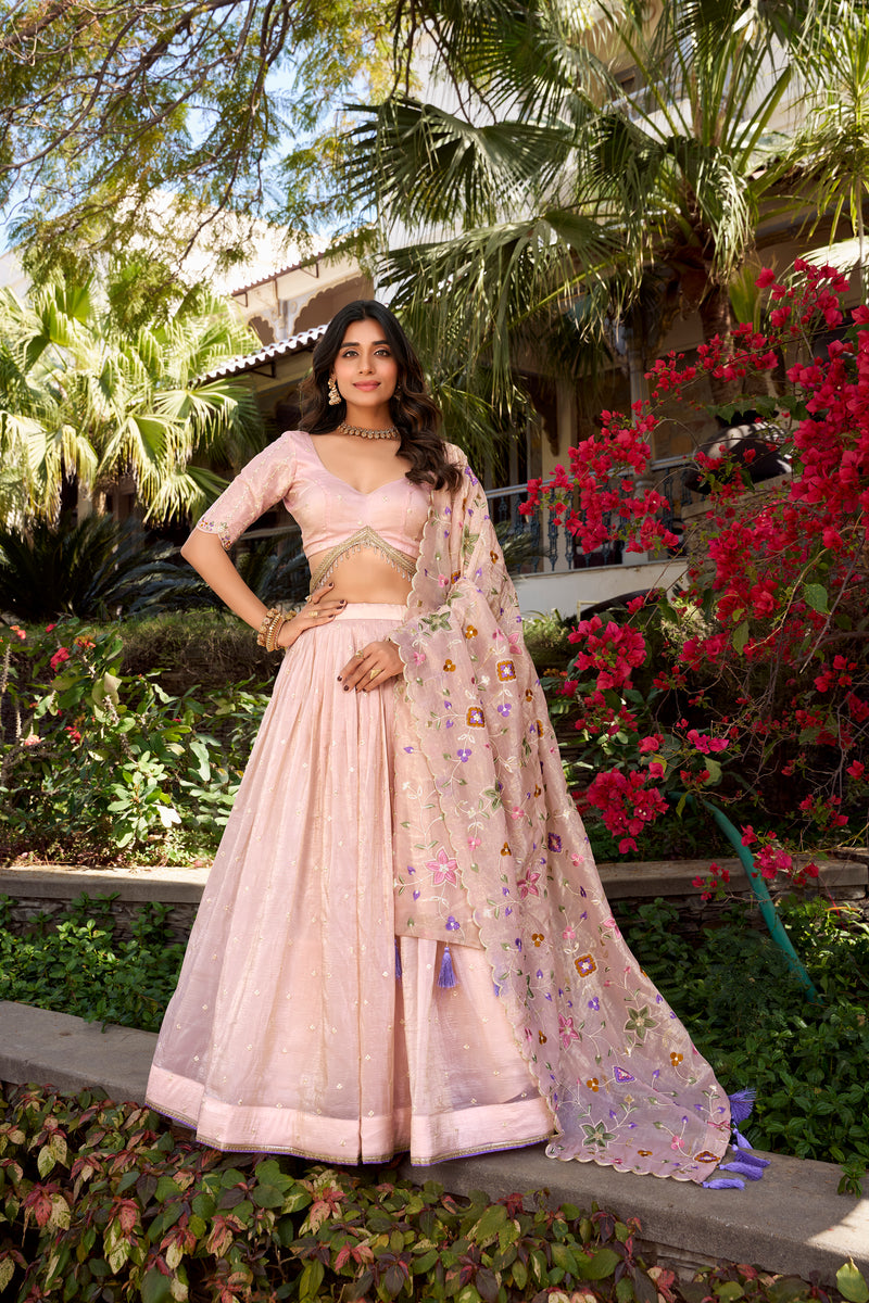 Doli - Sequins and Thread Embroidery All Over Butties Light Pink Lehenga Choli - JMS Studio