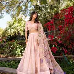Doli - Sequins and Thread Embroidery All Over Butties Light Pink Lehenga Choli - JMS Studio