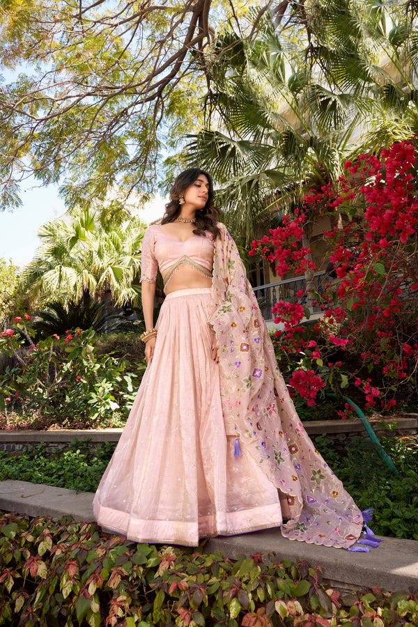 Doli - Sequins and Thread Embroidery All Over Butties Light Pink Lehenga Choli - JMS Studio