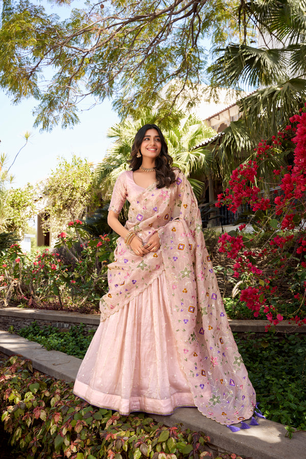 Doli - Sequins and Thread Embroidery All Over Butties Light Pink Lehenga Choli - JMS Studio