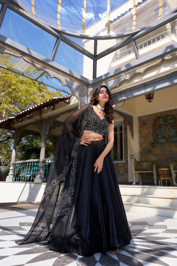 Doli - Satin Coding and Sequins Embroidery Work Black Lehenga Choli - JMS Studio