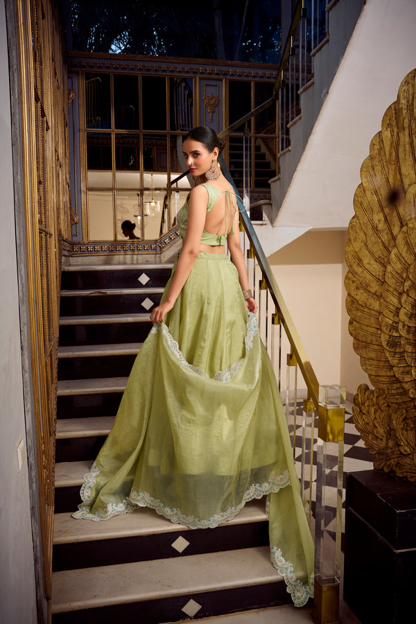 Doli - Sequins and Thread Embroidery with Jarkan Diamond Pista Lehenga Choli - JMS Studio