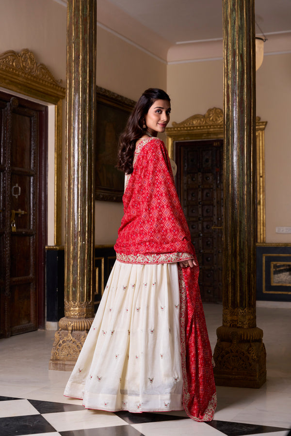 Doli - Sequins and Thread Embroidery Work Off White Lehenga Choli Set - JMS Studio