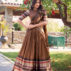 Doli - A Tale of Royalty, Woven in Chanderi and Zari Earthy Lehenga Choli Set - JMS Studio