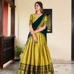 Doli - Paithani Artistry on Cotton Silk Parrot Lehenga Choli Set - JMS Studio