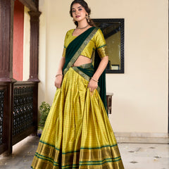 Doli - Paithani Artistry on Cotton Silk Parrot Lehenga Choli Set - JMS Studio