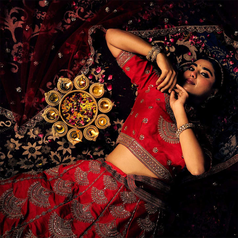 Handwork Royal Red Bridal Lehenga : Double Dupatta Minimal Style Flared Lehenga