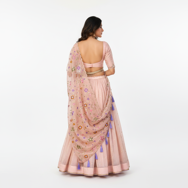 Doli light pink back-view lehenga choli with embroidered dupatta and sequin trim
