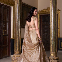 Doli - Gold Crush Sequins and Thread Embroidery Work Chiku Lehenga Choli - JMS Studio