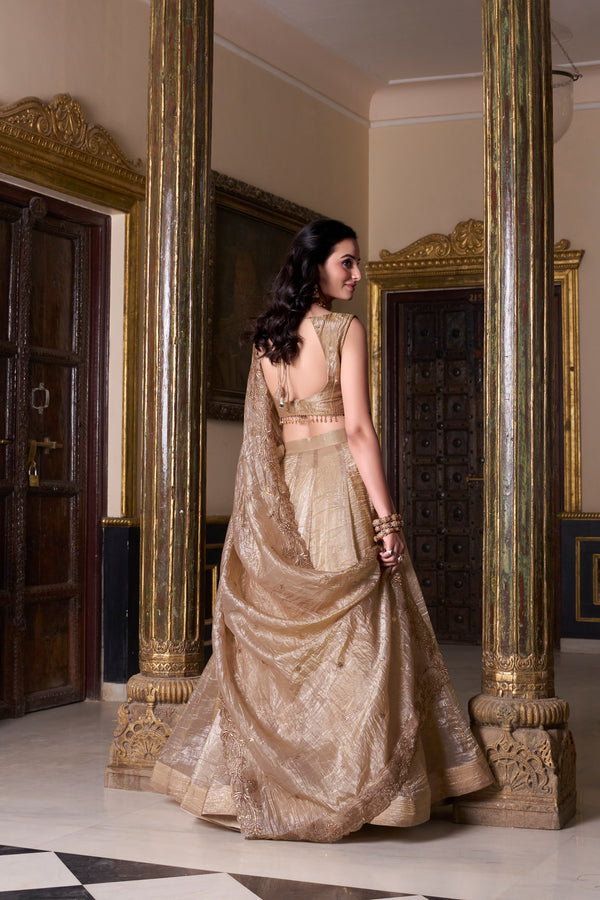 Doli - Gold Crush Sequins and Thread Embroidery Work Chiku Lehenga Choli - JMS Studio
