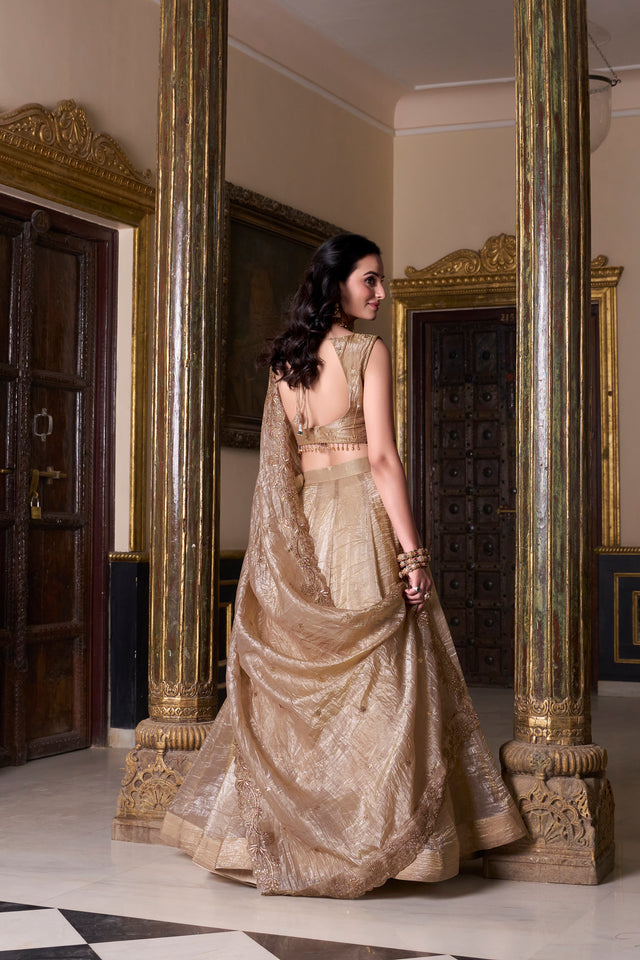 Beige sequined lehenga choli set with draped skirt detailing and embroidered bodice, back view