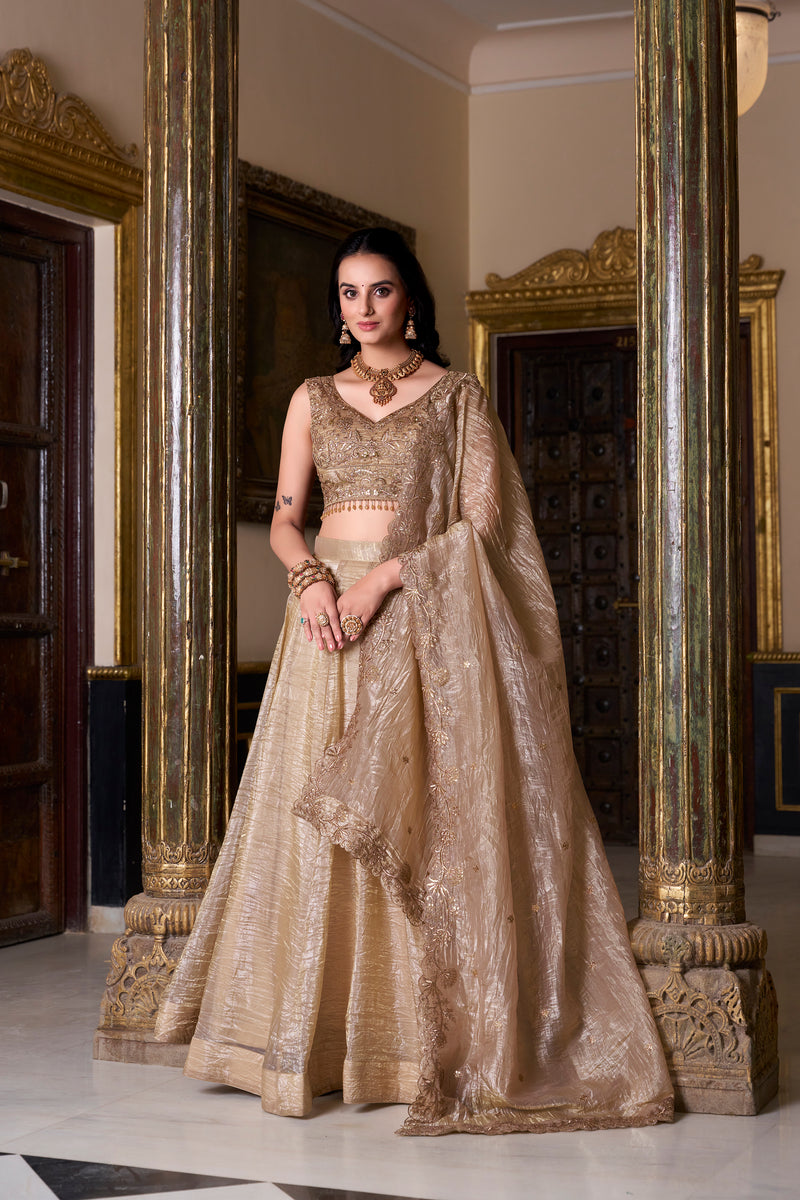 Doli - Gold Crush Sequins and Thread Embroidery Work Chiku Lehenga Choli - JMS Studio Doli - Gold Crush Sequins and Thread Embroidery Work Chiku Lehenga Choli - JMS Studio
