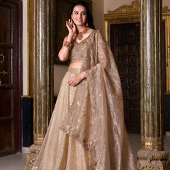 Doli - Gold Crush Sequins and Thread Embroidery Work Chiku Lehenga Choli - JMS Studio
