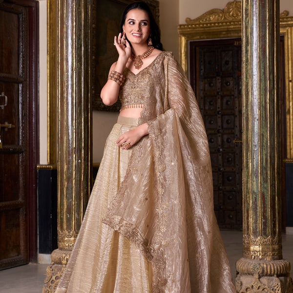 Doli - Gold Crush Sequins and Thread Embroidery Work Chiku Lehenga Choli - JMS Studio