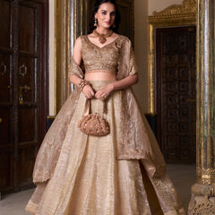 Doli - Gold Crush Sequins and Thread Embroidery Work Chiku Lehenga Choli - JMS Studio