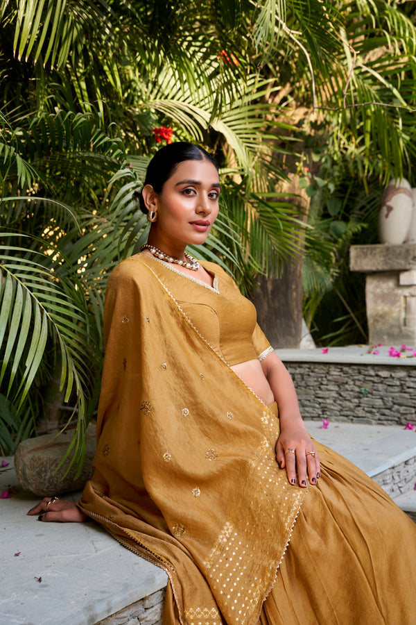 Doli - Plain With Weaving And Intricate Zari Work Border Mustard Lehenga Choli - JMS Studio