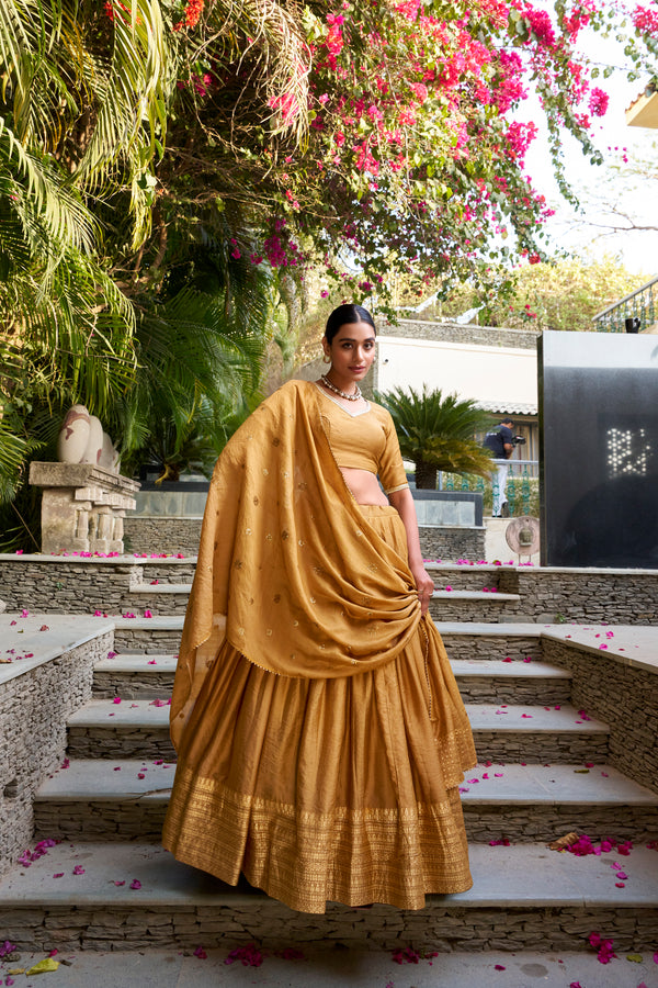 Doli - Plain With Weaving And Intricate Zari Work Border Mustard Lehenga Choli - JMS Studio