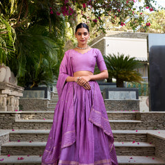 Doli - Plain With Weaving And Intricate Zari Work Border Purple Lehenga Choli - JMS Studio