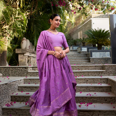 Doli - Plain With Weaving And Intricate Zari Work Border Purple Lehenga Choli - JMS Studio