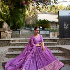 Doli - Plain With Weaving And Intricate Zari Work Border Purple Lehenga Choli - JMS Studio