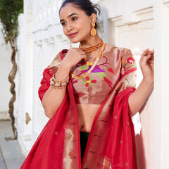 Doli - Vichitra Silk Plain with Paithni Lace Border Green Lehenga Choli set - JMS Studio