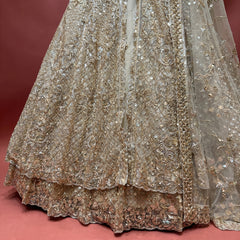 Champagne net lehenga skirt with cutdana and sequin embroidery and layered border