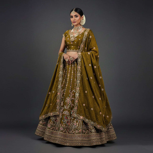 Olive gold lehenga with zari border, embroidered blouse and matching dupatta