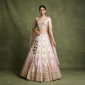 Baby pink lehenga with gold zari embroidery, short-sleeve blouse and full skirt