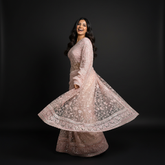 Light pink net saree with flared skirt-like pallu and embellished border