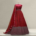 Maroon stone-sequin net sidir lehenga with embroidered border and matching dupatta
