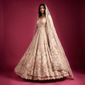 Ivory shimmer bridal reception gown with beaded bodice, puff skirt, and veil