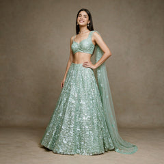 Pista green net sequin lehenga with sweetheart blouse and net dupatta, Bollywood party look, worn