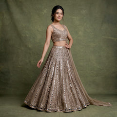 Model in an ivory gold net lehenga with vertical columns of small mirrors, a mirror-edged hem, sleeveless V-neck mirror blouse and a net dupatta against an olive backdrop