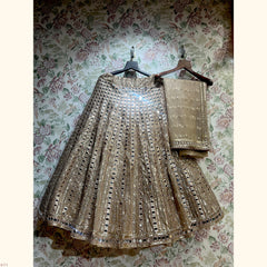 Embellished lehenga skirt and matching net blouse, silver-toned mirror work