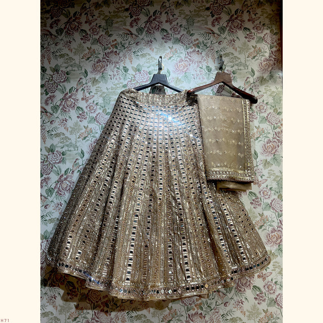 Embellished lehenga skirt and matching net blouse, silver-toned mirror work