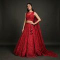 Phulkari - Red Net 3D Floral Moti & Cutdana Handwork Lehenga