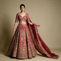 Model in a red and gold zari and stone work lehenga with a V-neck blouse and heavy organza dupatta against an olive backdrop