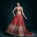 Red raw silk bridal lehenga with elephant procession hem, sequin and zari work and net dupatta, worn