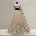 Pastel peach embellished lehenga with net dupatta on dress form