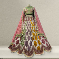 Shringaar: Multicolor Silk Lehenga with Heavy Border & Blouse