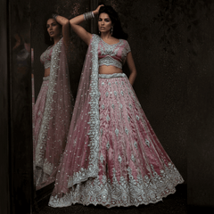 Damsel - Topaz Stone Setting Tissue Handwork Lehenga - Muted Salmon