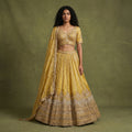 Gold embroidered lehenga with V-neck blouse, flared skirt and matching dupatta