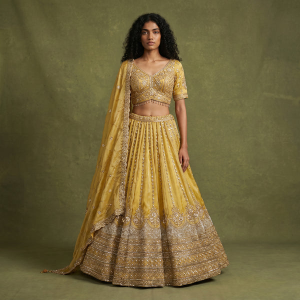 Gold embroidered lehenga with V-neck blouse, flared skirt and matching dupatta
