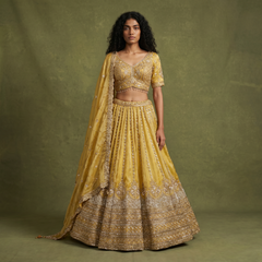 Mustard gold lehenga with beaded bodice, skirt, and embroidered dupatta