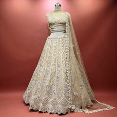 Ivory embellished lehenga with matching net dupatta, peacock motif skirt on mannequin