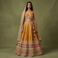 Royal Baggi Collection: Champagne Gold Raw Silk Embroidered Designer Lehenga - JMS Studio
