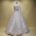 Soft pink pearl-embellished georgette lehenga with matching dupatta
