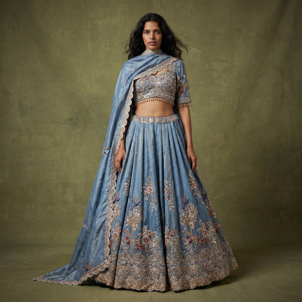 Light blue embroidered tissue silk lehenga with full-sleeve blouse, multicolor border